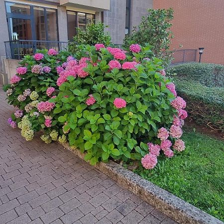Apartament La Casetta Di Grazia E Nino Buccinasco Zewnętrze zdjęcie